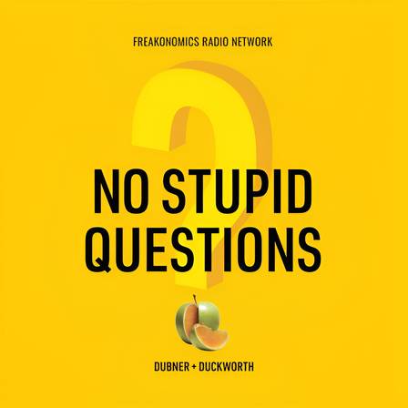 Stephen J. Dubner & Angela Duckworth-No Stupid Questions